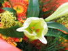 Flowers in Space